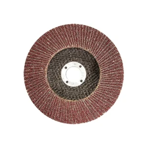 DISCO FLAP MTX 115X22MM 060